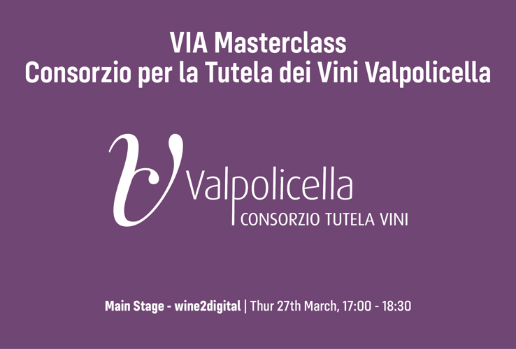 2015 Valpolicella: A Deep Dive into the DOC’s Finest